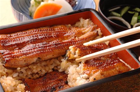 这碗让人黯然销魂的日式鳗鱼饭，其实一点儿也不普通 - 知乎