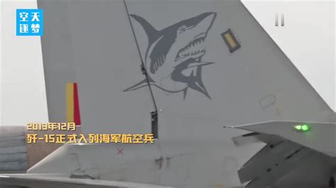 “飞鲨”跃空护海疆，沈阳J-15舰载多用途战斗机