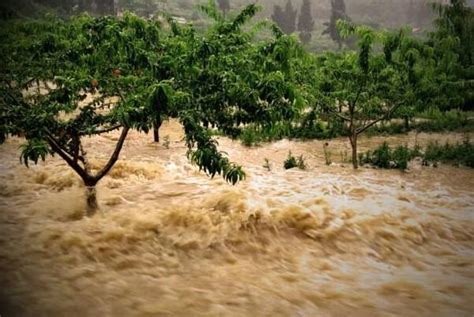 河沟洪水发大水河水高清摄影大图-千库网