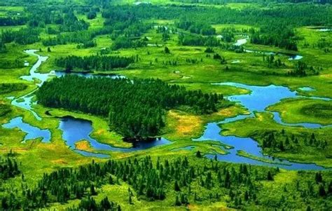 黑龙江十大最美湿地之一 ----大沾河湿地-大沾河湿地国家级自然保护区-中国自然保护区