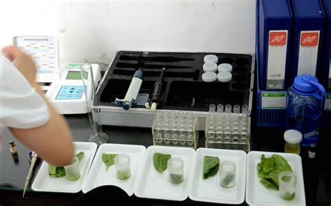 罗平县：开展蔬菜、水果抽样检测 把好农产品质量安全关_云南省农业农村厅