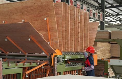 云南普洱宁洱县推动林产业高质量发展-中国木业网
