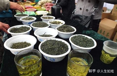 紫阳茶传承名茶典范 打造贡茶加盟新格局