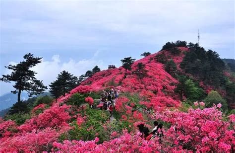 麻城周边游玩景点推荐,麻城新景点_大山谷图库