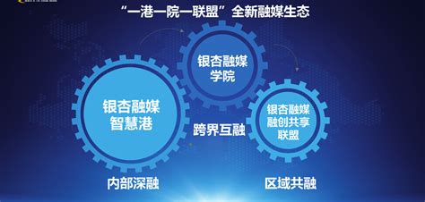 邳州市公共信用信息平台升级项目顺利通过验收