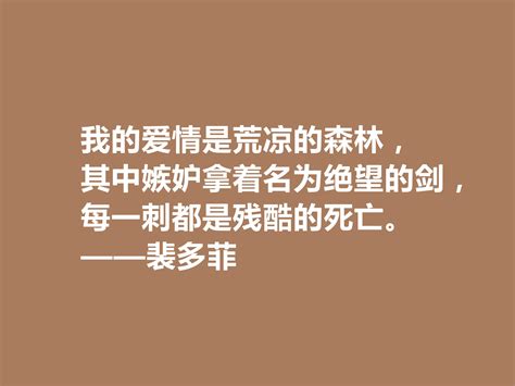 文汇报5月26日：“鲁迅与裴多菲”跨越时空，展开心灵对话-绍兴文理学院