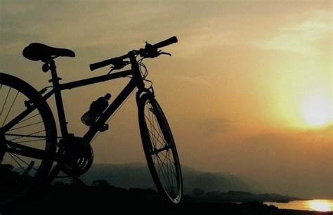 梦见骑自行车有什么寓意 梦见骑自行车有什么征兆 - 万年历
