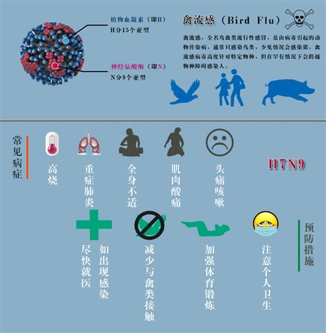 起底首次发现人感染的H5N8禽流感：今后“人传人”的可能性有多大？|俄罗斯_新浪新闻