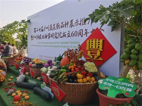 第24届广州蔬菜新品种展示推广会在南沙举办
