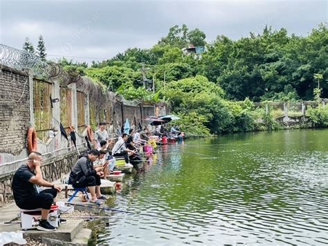 深圳钓场_深圳钓场大全_深圳哪里能钓鱼 - 钓鱼之家