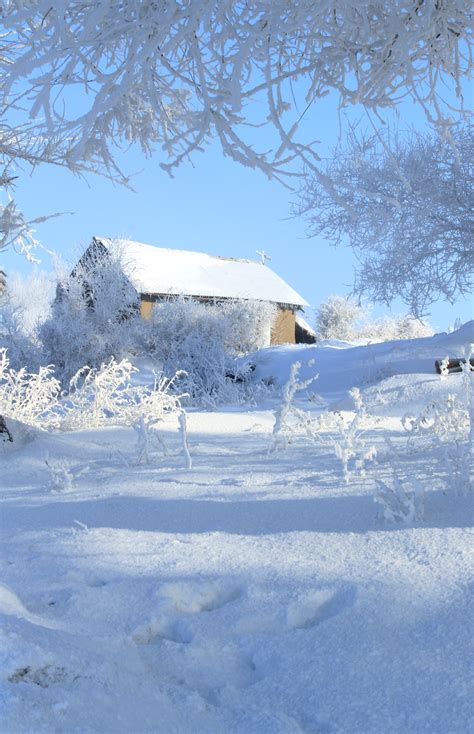 东北农村冬天景色图片摄影图1024*1540图片素材免费下载-编号1302879-潮点视频