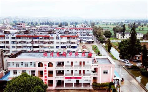 遇见漳州：“仙人掌王国”——华侨农场一抹别致风景|仙人掌|华文|王国_新浪新闻