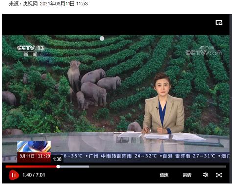 [新闻直播间]云南 野生象群归家路 安全距离200米 记录大象生活瞬间 _www.isenlin.cn