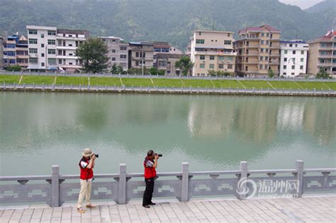 草根记者寻访温州河流 屿头河用围墙遮丑_独家报道_温州网