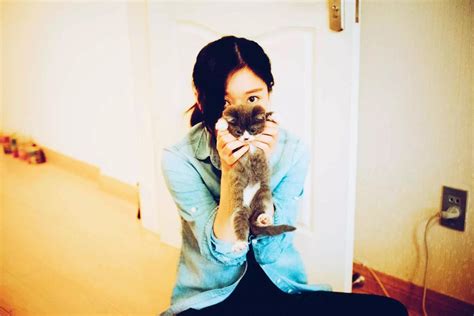 在猫咖摸着猫玩的女人高清图片下载-正版图片502061417-摄图网