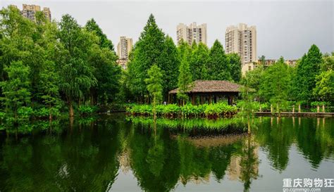 九大公园围合 江山雲出著生态城市封面-焦点解读-重庆乐居网