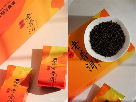 普洱茶的价格是多少钱一斤- 茶文化网