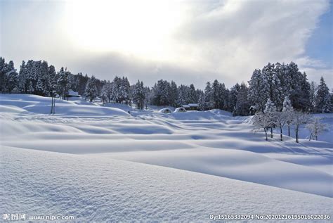 滑翔伞从雪地覆盖的斜坡上起降向高山高清图片下载-正版图片506499589-摄图网