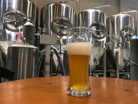 啤酒厂设备如何进行啤酒酵母的扩大培养 - 业内新闻 - 山东豪鲁啤酒设备有限公司