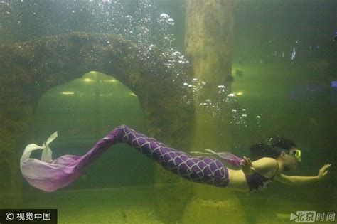 集自由潜、蹼泳、瑜伽、舞蹈、花样游泳于一身 你也可以成为美人鱼_深圳新闻网