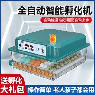 【厂家直供】家用孵化器鸡鸭鹅鸽子蛋孵化箱全自动家用小型孵化机-阿里巴巴