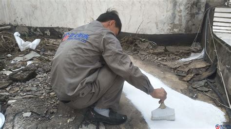 楼顶防水补漏维修案例 | 重庆南岸区渝蒲大厦