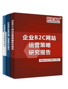 企业B2C网站运营策略研究报告图册_360百科