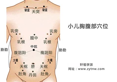 小腹位置图解图片