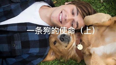 一人一狗同框图片