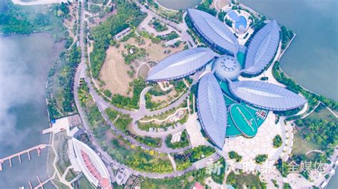以规模著称的浦东南汇新城未来将降级为普通的郊区新城?-上海搜狐焦点