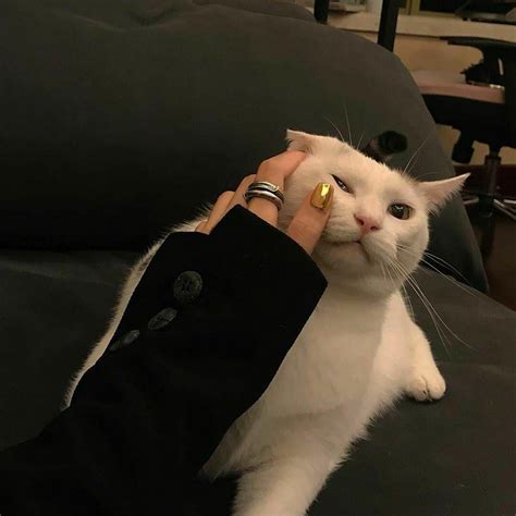 非主流黑胖妹头像