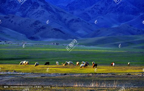 新疆的春天在伊犁河谷。这里有一片你无法想象的|新疆|伊犁河谷|天地_新浪新闻