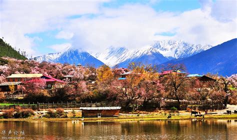 复兴号开进西藏，林芝正在成为度假游新热门-国际在线
