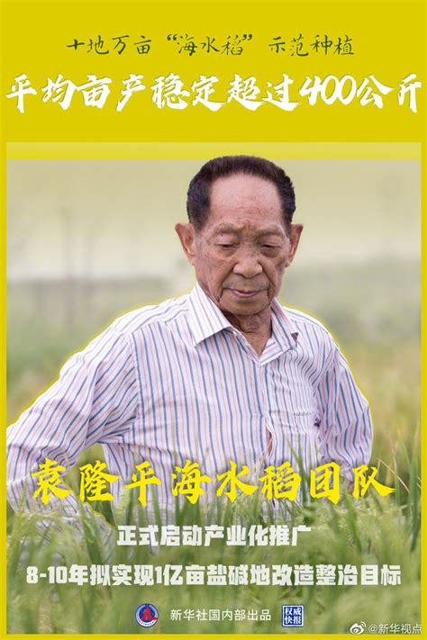 袁隆平团队“海水稻”亩产超400公斤 今年将启动产业化推广_荔枝网新闻