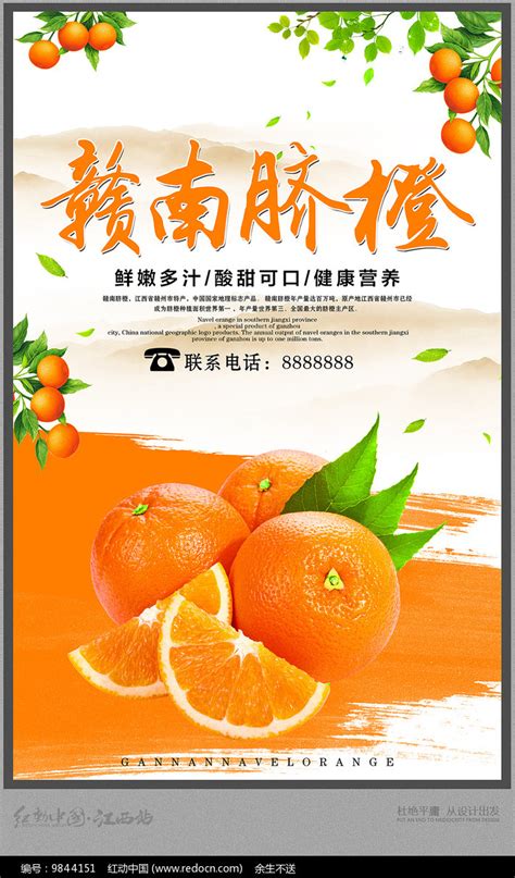 清新赣南脐橙宣传海报设计图片下载_红动中国