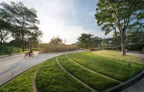 RMIT大学草坪景观-公共绿地案例-筑龙园林景观论坛