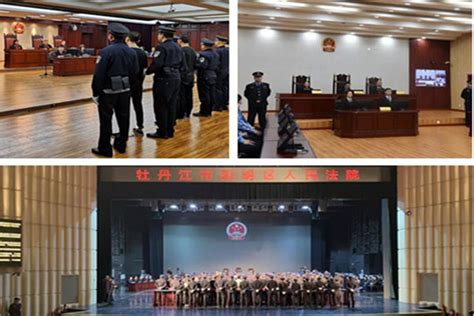 黑龙江公开宣判24件黑恶势力犯罪案 209名被告人获刑 - 法律资讯网