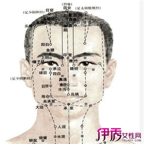 额头上的经络图图片