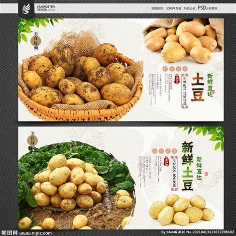 红皮土豆设计图__海报设计_广告设计_设计图库_昵图网nipic.com