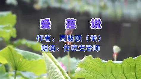 周敦颐 | 爱莲说-清廉名篇-郑州外国语中学