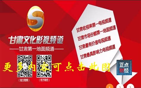 甘肃卫视台标志logo图片-诗宸标志设计