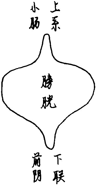 类经图翼图片