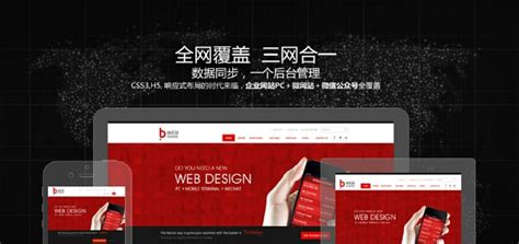 金川集团-数字营销-网站制作及响应式开发-东道品牌创意设计