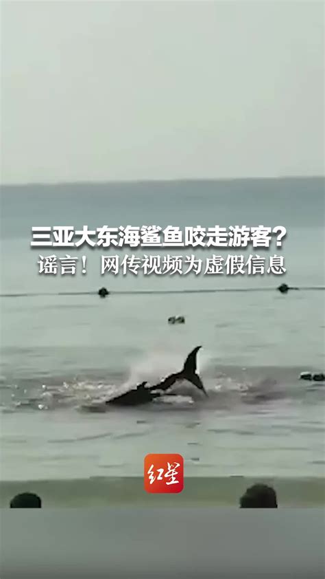 三亚大东海鲨鱼咬走游客？谣言！网传视频为虚假信息_凤凰网视频_凤凰网