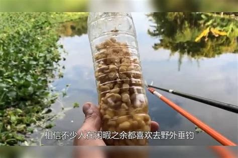广州：黑鱼丰收-人民图片网