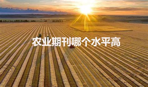 农业大麦领域jpg格式图片下载_熊猫办公