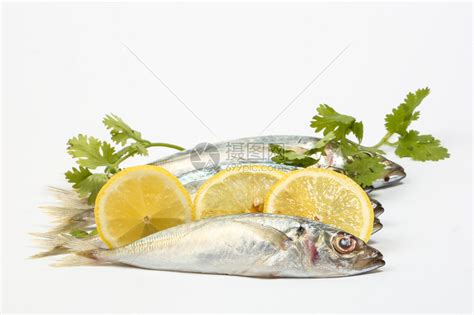沙丁鱼沙丁鱼鲱生新鲜在白色背景高清图片下载-正版图片507310668-摄图网