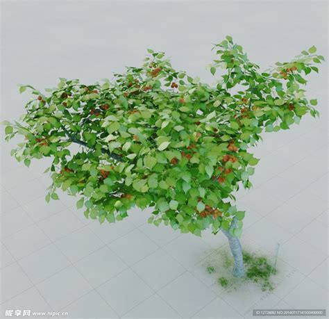 杏子 杏树设计图__室内模型_3D设计_设计图库_昵图网nipic.com