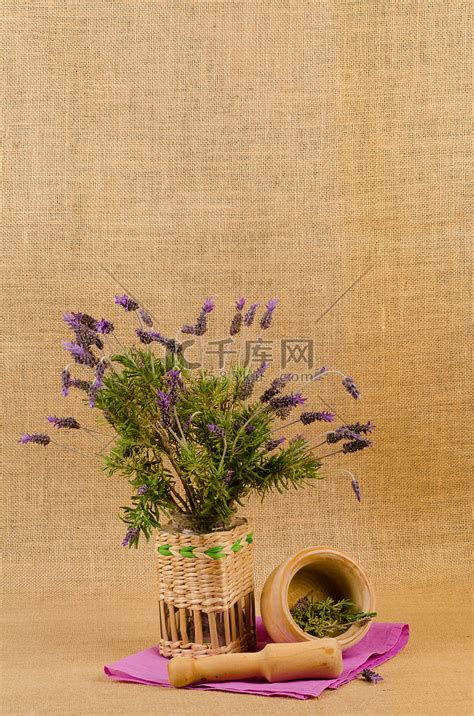 薰衣草森林爱吧网:http://i8i8i8.cm爱图片