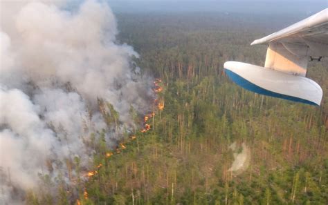 俄航空护林局：俄境内扑灭49处森林火灾 - 2019年8月16日, 俄罗斯卫星通讯社